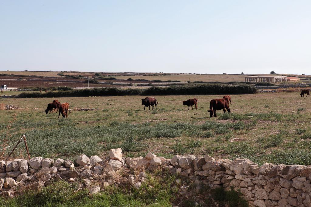 Appartamento Ai Due Leoni Comiso Esterno foto